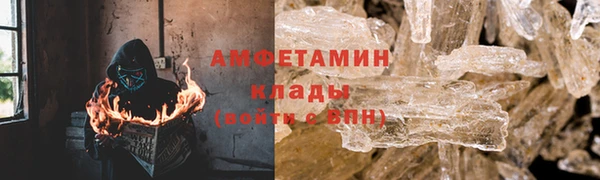 мдпв Каменка