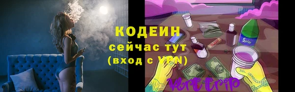 мдпв Каменка
