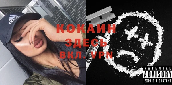 мдпв Каменка