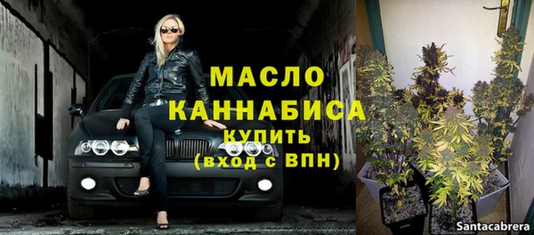 мдпв Каменка
