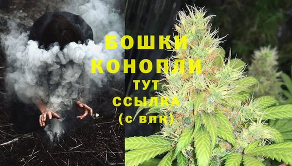 мдпв Каменка