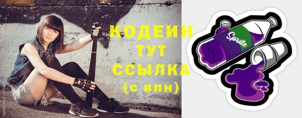 мдпв Каменка
