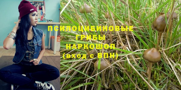 метадон Каменногорск